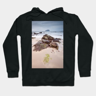 Seacliff and the Bass Hoodie